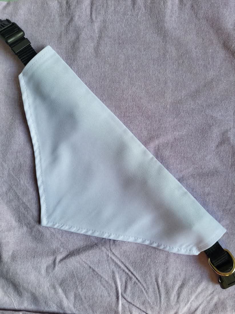 Custom Pet Bandanas - With Collar